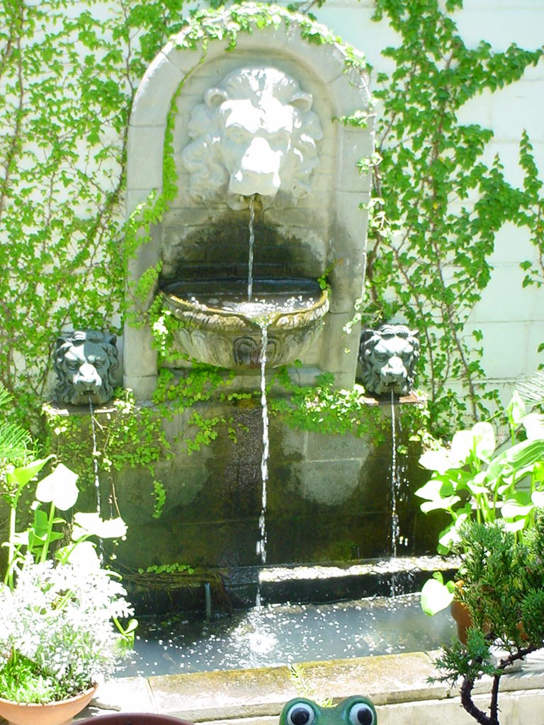 foutain