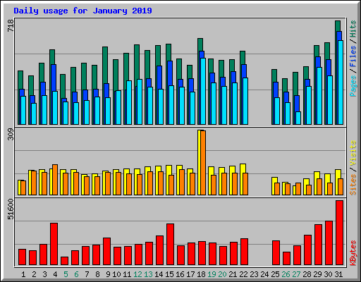 Daily usage for January 2019
