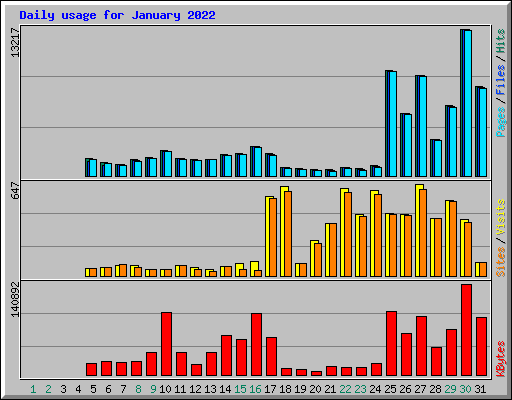 Daily usage for January 2022