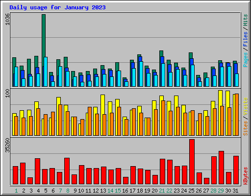Daily usage for January 2023