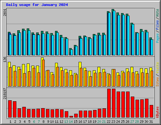 Daily usage for January 2024