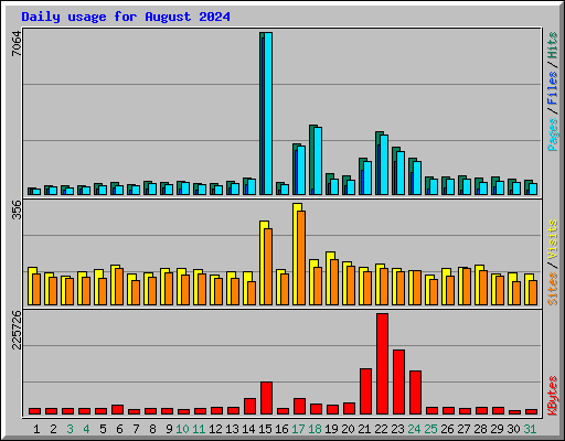 Daily usage for August 2024