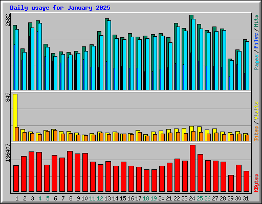 Daily usage for January 2025