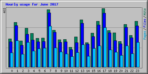 Hourly usage for June 2017