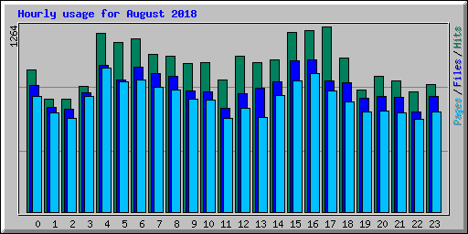 Hourly usage for August 2018