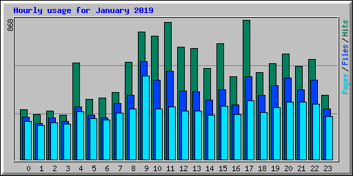 Hourly usage for January 2019
