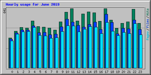 Hourly usage for June 2019