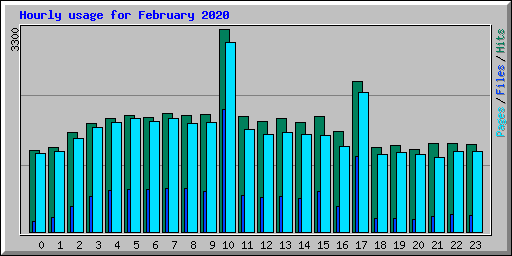 Hourly usage for February 2020
