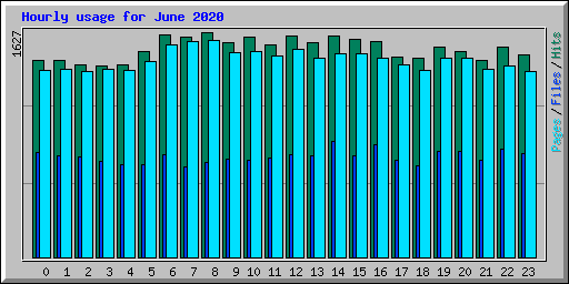 Hourly usage for June 2020
