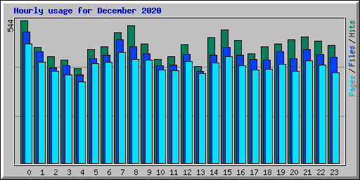 Hourly usage for December 2020