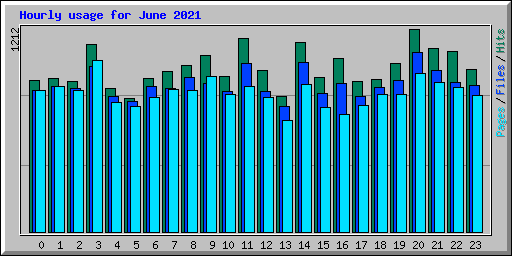 Hourly usage for June 2021