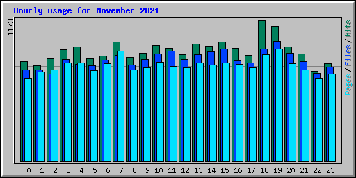 Hourly usage for November 2021