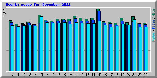 Hourly usage for December 2021