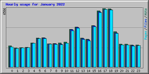 Hourly usage for January 2022