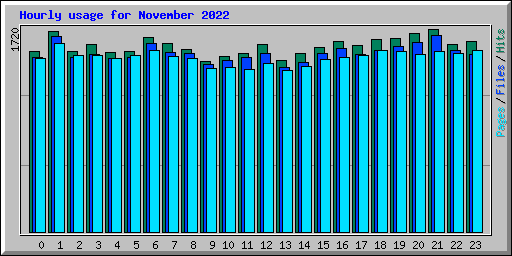 Hourly usage for November 2022
