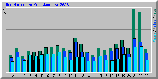 Hourly usage for January 2023