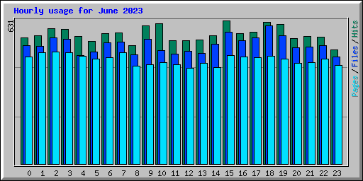 Hourly usage for June 2023