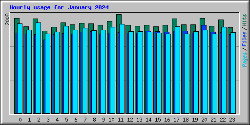 Hourly usage for January 2024