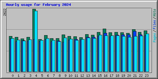 Hourly usage for February 2024