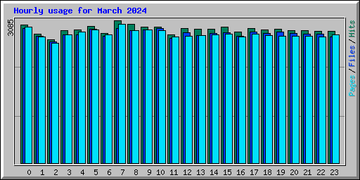 Hourly usage for March 2024