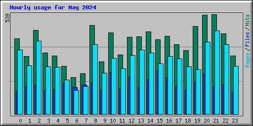 Hourly usage for May 2024