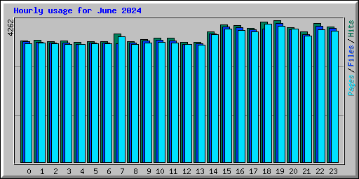Hourly usage for June 2024