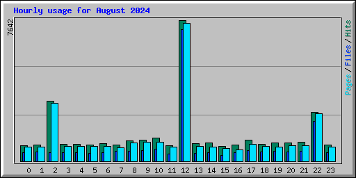 Hourly usage for August 2024