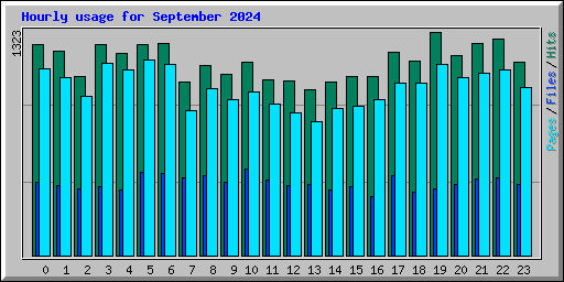 Hourly usage for September 2024