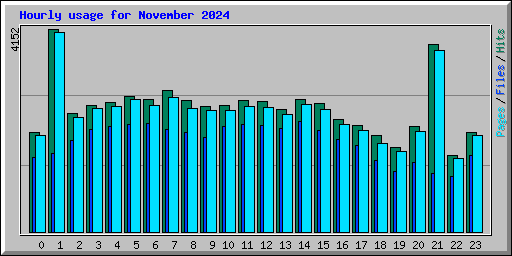 Hourly usage for November 2024
