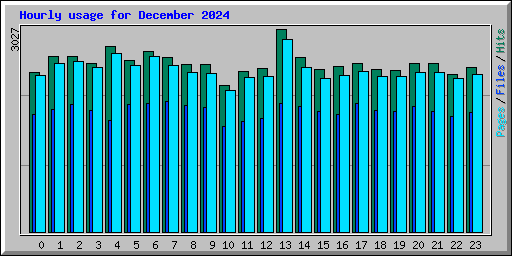 Hourly usage for December 2024
