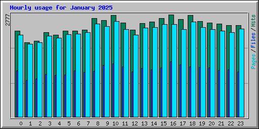 Hourly usage for January 2025
