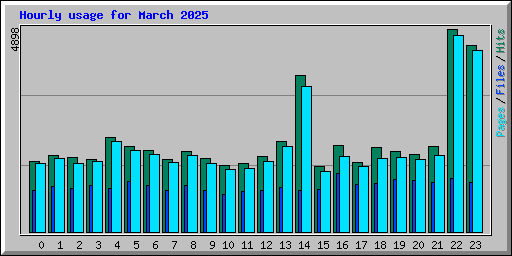 Hourly usage for March 2025