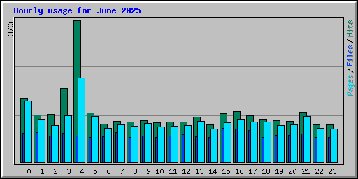 Hourly usage for June 2025