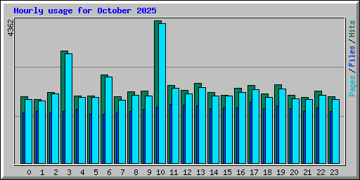 Hourly usage for October 2025