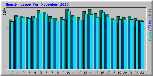 Hourly usage for November 2025