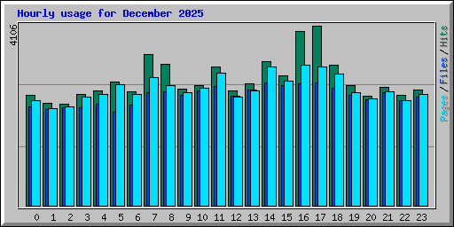 Hourly usage for December 2025
