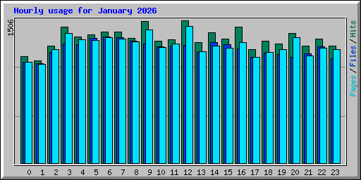 Hourly usage for January 2026