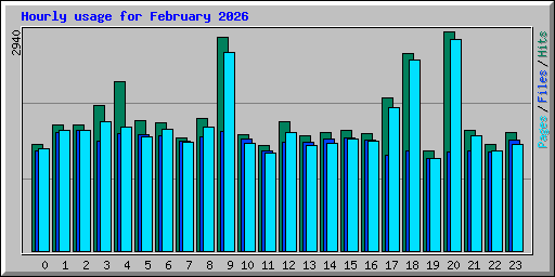 Hourly usage for February 2026